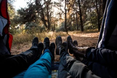 View from inside of group campers lying down in tent with forest background Stock-Fotos
