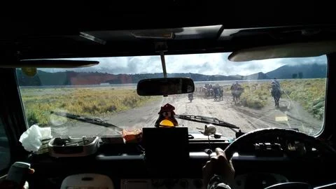 View from inside the Jeep Stock Photos