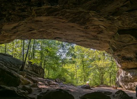 View from inside a large natural rock shelter looking out to a forest Stock Photos
