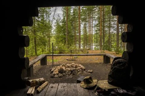 View from inside a log shelter onto a pine forest Stock Photos