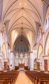 View from inside of Metropolitan Cathedral of Our Lady of the Holy Rosary Cat Stock Photos