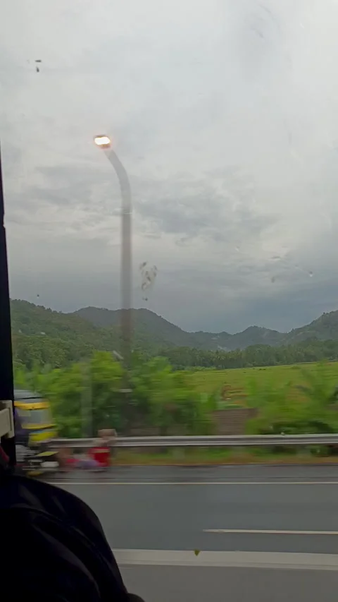 The view from inside a moving bus Stock Footage 310557786