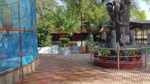 A view inside the national bal bhawan, new delhi, India Stock Footage 334044744