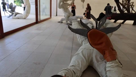 View inside the Nordic Countries Pavilion at the Venice Biennale 2026 Видео 337267702