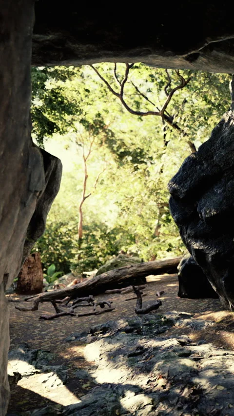 View from inside a rocky cave looking out at greenery and trees Stock Footage 348087441