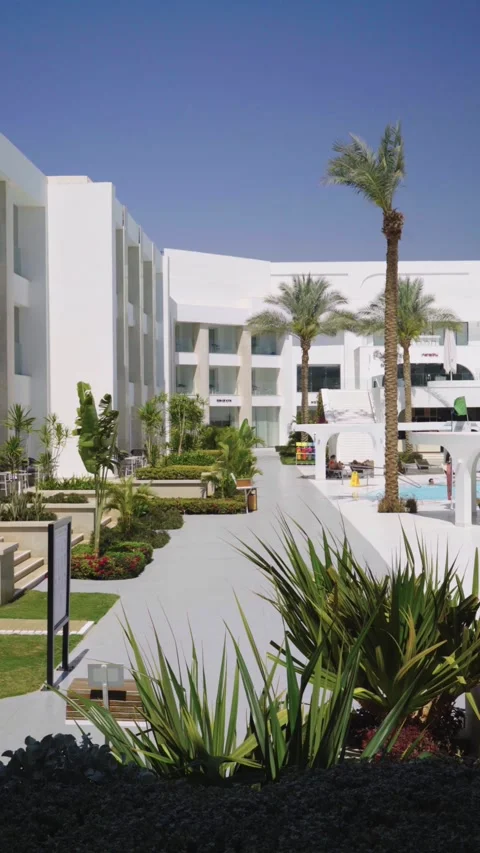 View from inside the room, curtain opening to reveal outdoor garden 库存影片 330997246