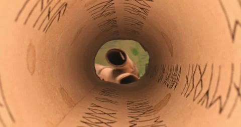 View from inside scrolls stacked on pile. Vintage scroll library. Stock Footage 173489289