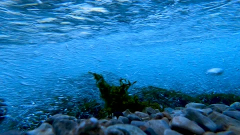 The view from the inside of water flowing under strong pressure Stock Footage 171856729