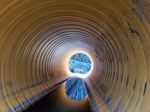 View from inside a yellow drainage pipe looking at a forest and water refle.. 스톡 사진
