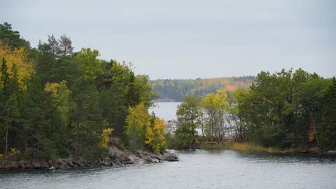View of the island trees while cruising in Stockholm Sweden Stock Footage 97679864