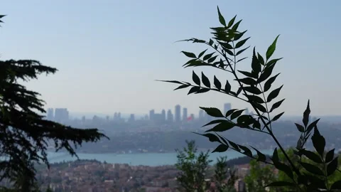View of Istanbul Stock Footage 197356845