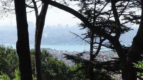 View of Istanbul Stock Footage 197357889