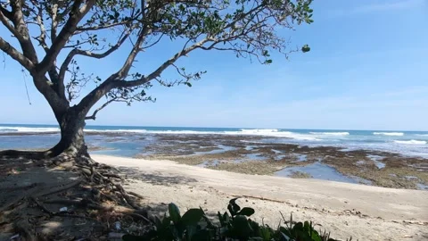 View of the Java sea from the sea side Stock Footage 217738363