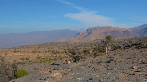 View of Jebel Shams, Oman's Highest Mountain and the Dramatic Wadi Ghul Stock Footage 324848210