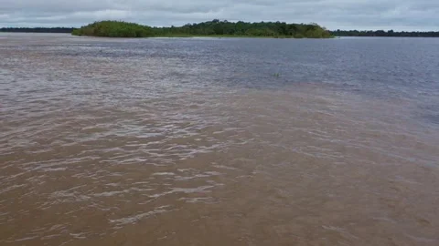 View of junction of Negro river and Amazonas river and its different colors, in Stock Footage 337139248