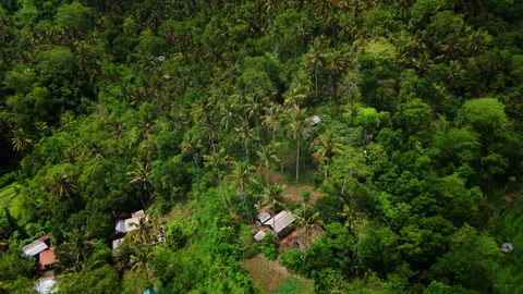 View of a jungle hut Stock Footage 294689313