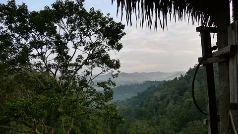 View of the jungle rainforest from a tree house at Gibbon Experience, Laos Stock Footage 74940228