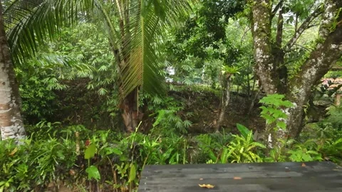 View of jungle, small garden and river in Raub, Pahang Stock Footage 194746762