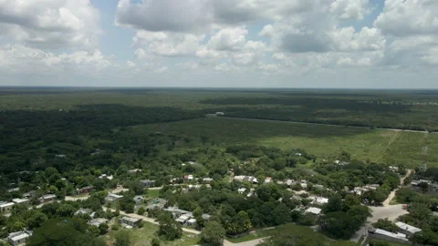 View of jungle in Yucatan Mexico 스톡 동영상 159386381