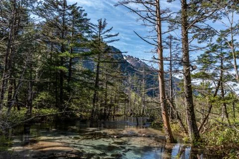View of Kamikochi Stock Photos