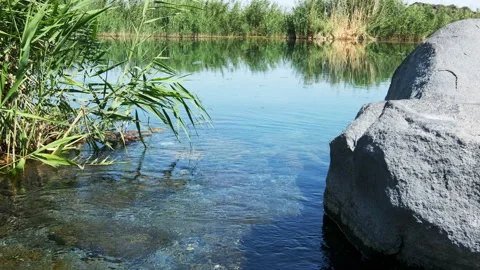 View of Karasu Marshes in Igdir. 4K footage in Turkey Stock Footage 203918425