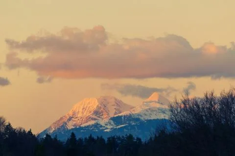 View of Karawanks alpine mountain range at sunset with trees in foreground Stock Photos