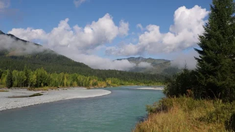 View of the Katun River in summer, Altai, Russia Stock Footage 315872173