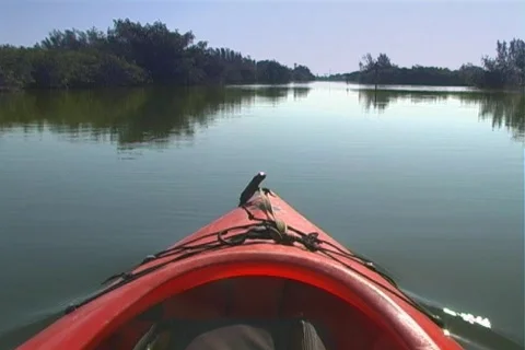 View from a Kayak Video stock 365926