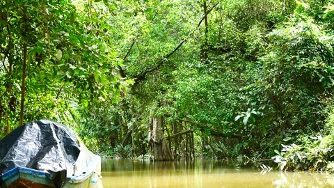 View from Kayaking in the mangrove forest in South of thailand in adventure c 動画素材 79867192