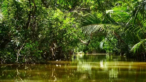 View from Kayaking in the mangrove forest in South of thailand in adventure c Vídeos de archivo 79867775