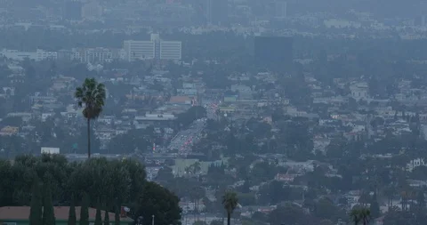 View from Kenneth Hahn Park in Los Angeles, California Stock Footage 115084897