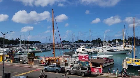 View of Kewalo Basin Harbor on August 1, 2026 Stock Footage 341387013