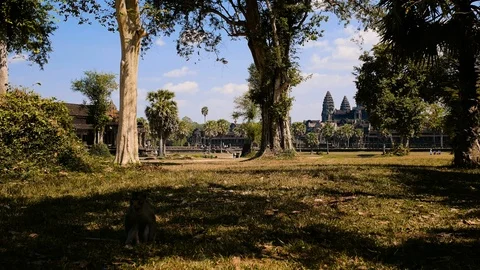 View of the Khmer Angkor Wat temples at Siem Reap in Cambodia 스톡 동영상 101045841