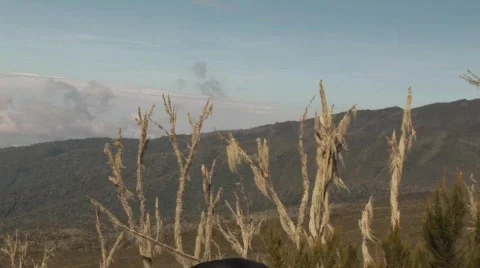 View Killimanjaro Stock Footage 377482