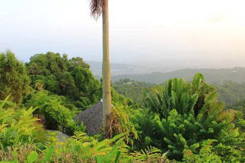 View of Kingston Stock Photos