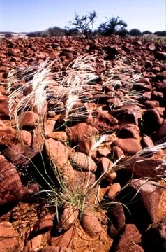 View of kunene region Stock Photos