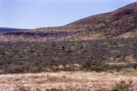 View of kunene region Stock Photos