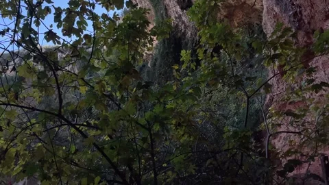 View on the La Cueva Turche de Buñol  waterfall Stock Footage 257801461