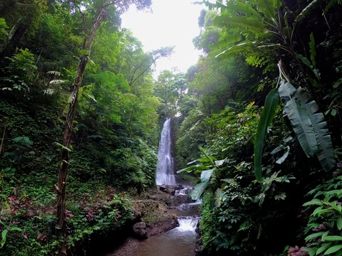 View of Labuhan Kebo Waterfall located in Munduk, Bali Video stock 104106347