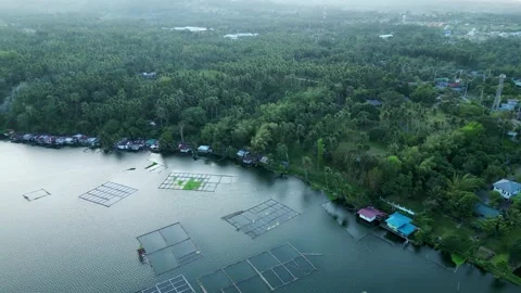 View of the lake 4k 스톡 동영상 236988283