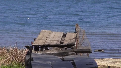 View of Lake Abant Video stock 69773097