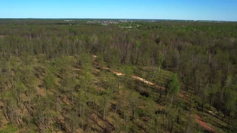 View of the lake from above. Early spring. Fishing lake with fishing platforms Stock Footage 274413698