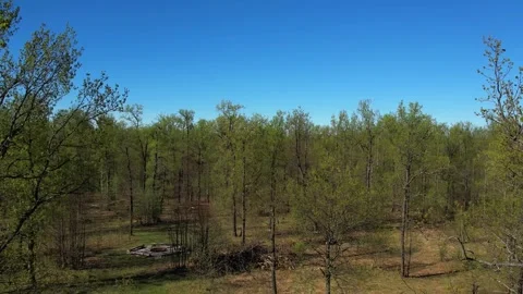 View of the lake from above. Early spring. Fishing lake with fishing platforms Stock Footage 274413735