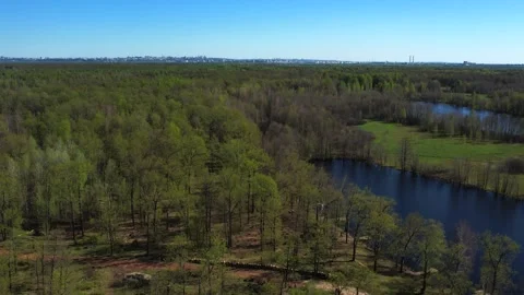View of the lake from above. Early spring. Fishing lake with fishing platforms Stock Footage 274413755