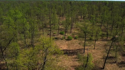 View of the lake from above. Early spring. Fishing lake with fishing platforms Stock Footage 274413817