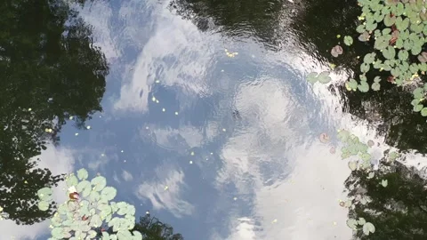 View of the lake from above Stock Footage 249409579