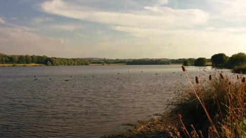 View of lake against blue sky clouds Vídeo Stock 337956276