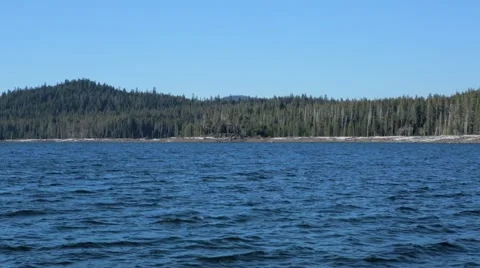 View of lake and forest Stock Footage 49013311