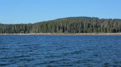 View of lake and forest Stock Footage 49099568