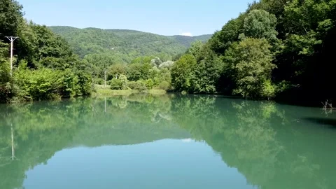 View On The Lake and the green forest Stock Footage